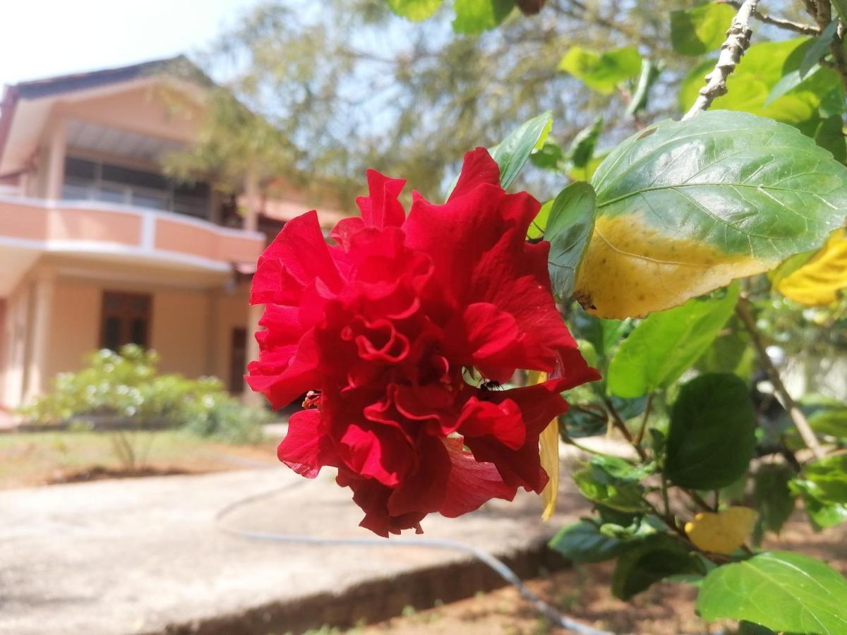 Ashoka Villa Jaffna Ngoại thất bức ảnh